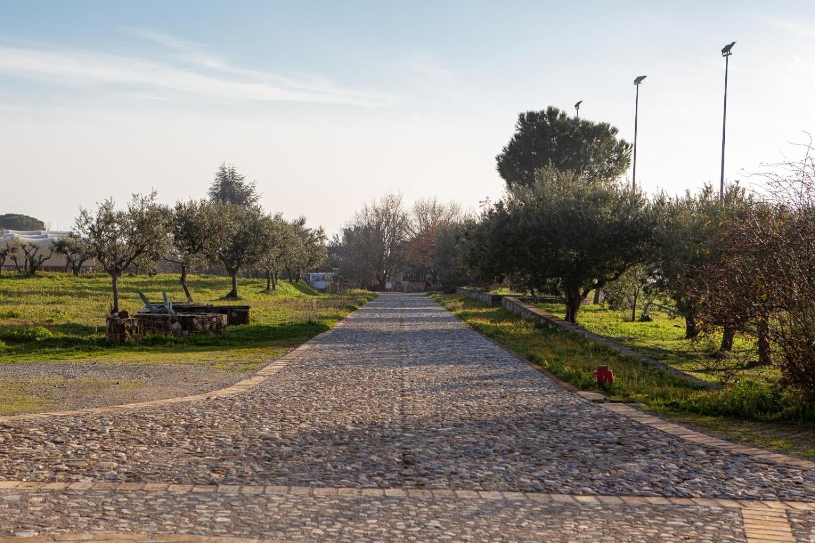 Agriturismo Masseria Fonte Di Maroglio Castrovillari Ngoại thất bức ảnh
