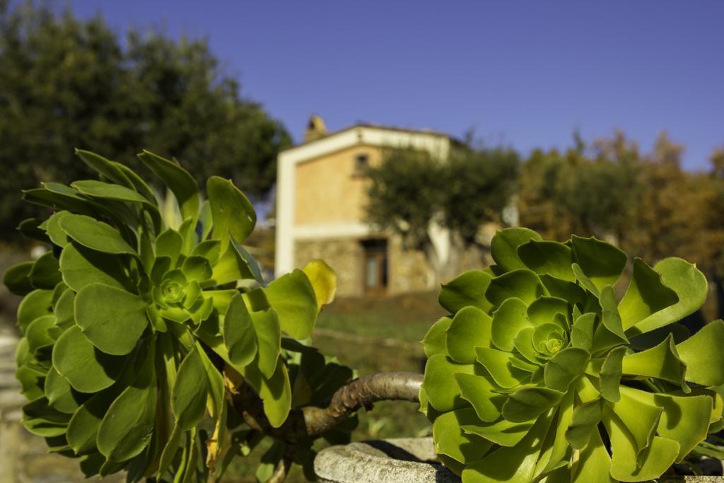 Agriturismo Masseria Fonte Di Maroglio Castrovillari Ngoại thất bức ảnh